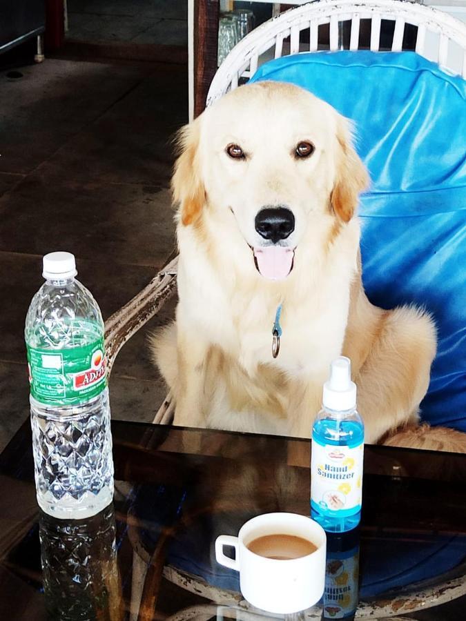 Casa Fiesta Ξενοδοχείο Palolem Εξωτερικό φωτογραφία